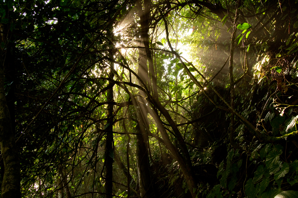 Costa Rica - Corcovado Costa Rica - Corcovado