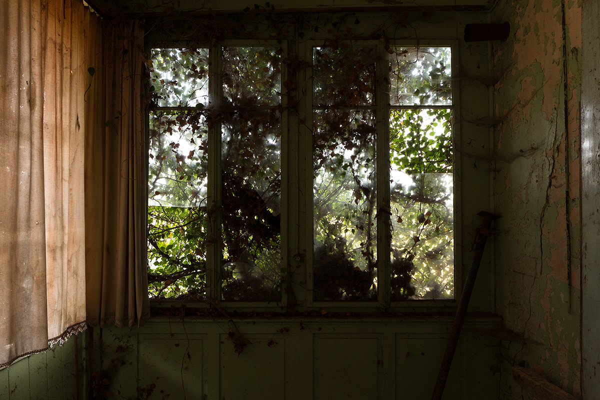 the old one the old one