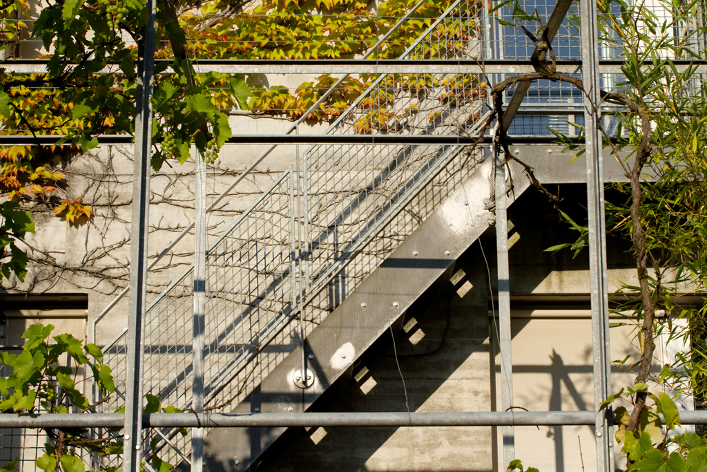 Siedlung Ried W2 Siedlung Ried W2 Foto-Dokumentation Niederwangen Bern Atelier 5