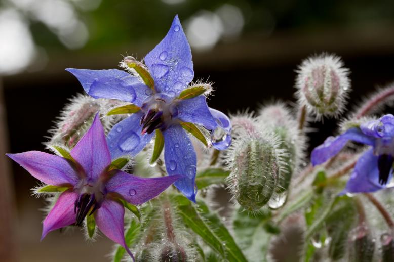 Siedlung Ried W2 Siedlung Ried W2 Foto-Dokumentation Niederwangen Bern Atelier 5