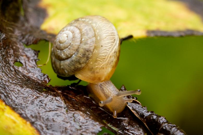 Siedlung Ried W2 Siedlung Ried W2 Foto-Dokumentation Niederwangen Bern Atelier 5