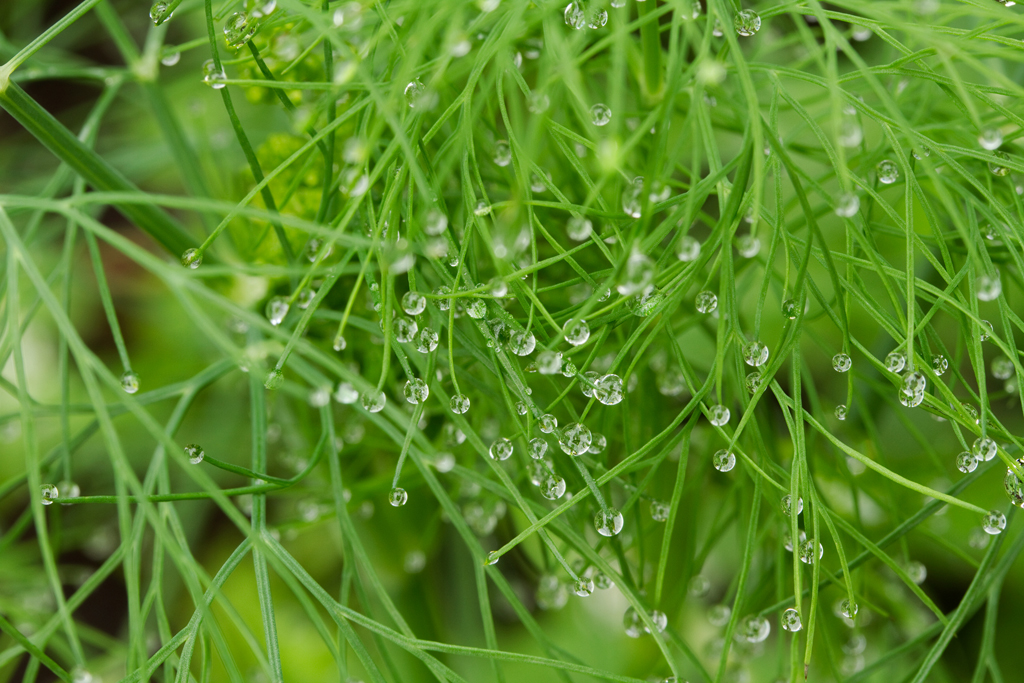 Siedlung Ried W2 Siedlung Ried W2 Foto-Dokumentation Niederwangen Bern Atelier 5