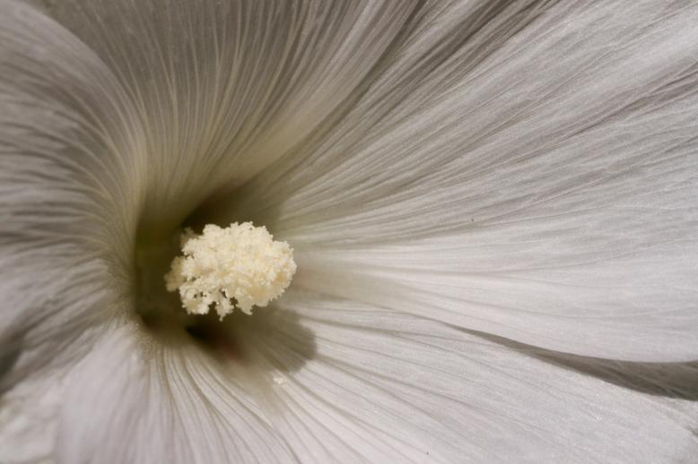 Siedlung Ried W2 Siedlung Ried W2 Foto-Dokumentation Niederwangen Bern Atelier 5