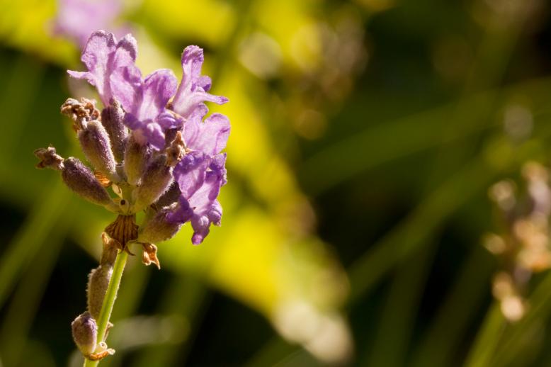 Siedlung Ried W2 Siedlung Ried W2 Foto-Dokumentation Niederwangen Bern Atelier 5