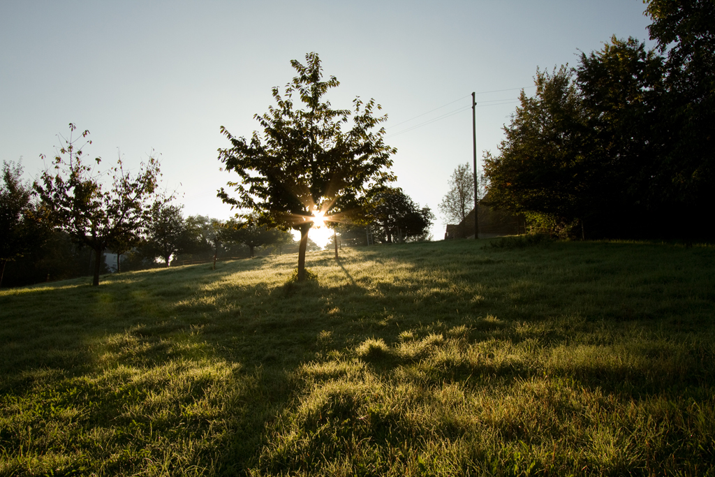 Siedlung Ried W2 Siedlung Ried W2 Foto-Dokumentation Niederwangen Bern Atelier 5