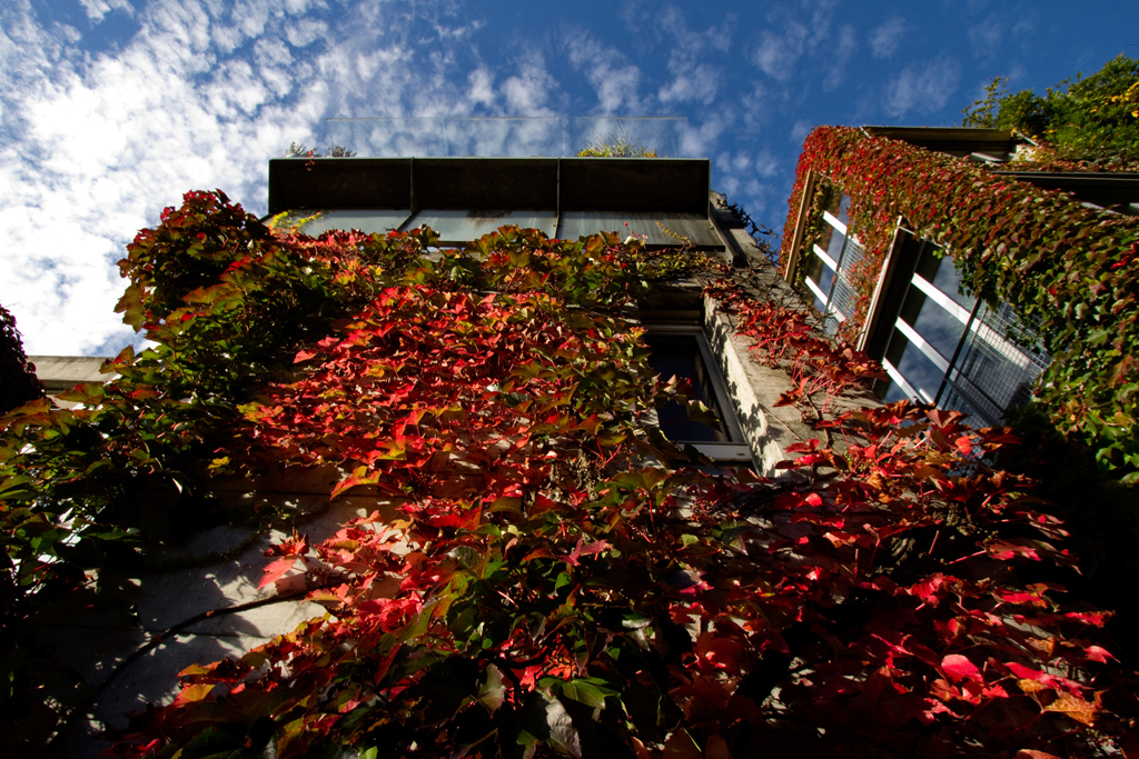 Siedlung Ried W2 Siedlung Ried W2 Foto-Dokumentation Niederwangen Bern Atelier 5