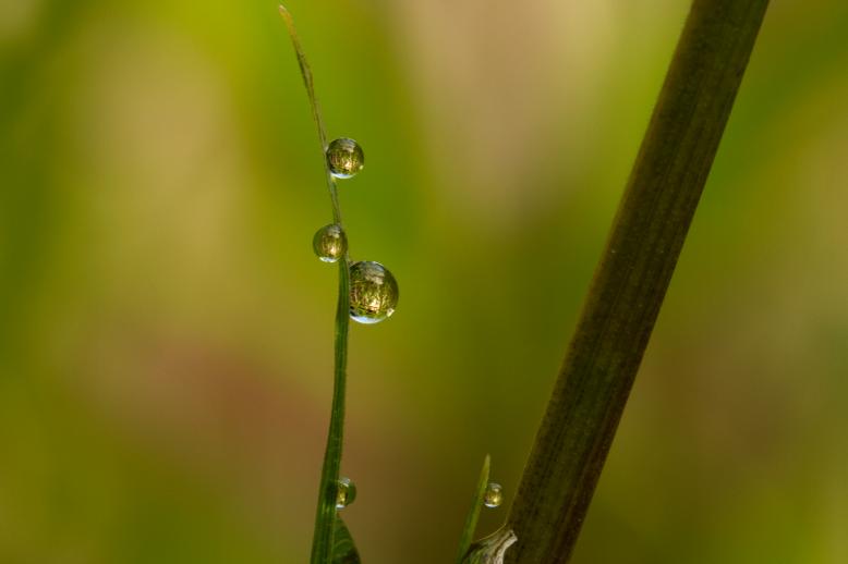 Siedlung Ried W2 Siedlung Ried W2 Foto-Dokumentation Niederwangen Bern Atelier 5