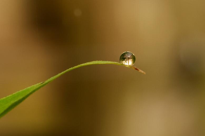 Siedlung Ried W2 Siedlung Ried W2 Foto-Dokumentation Niederwangen Bern Atelier 5