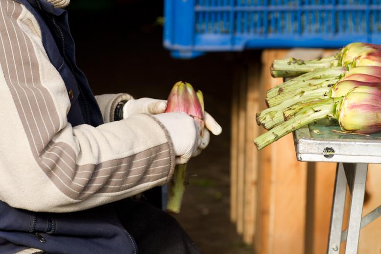 Rom City Rom Street Italy Italien Roma Rome 2011