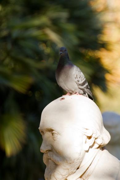 Rom City Rom Street Italy Italien Roma Rome 2011