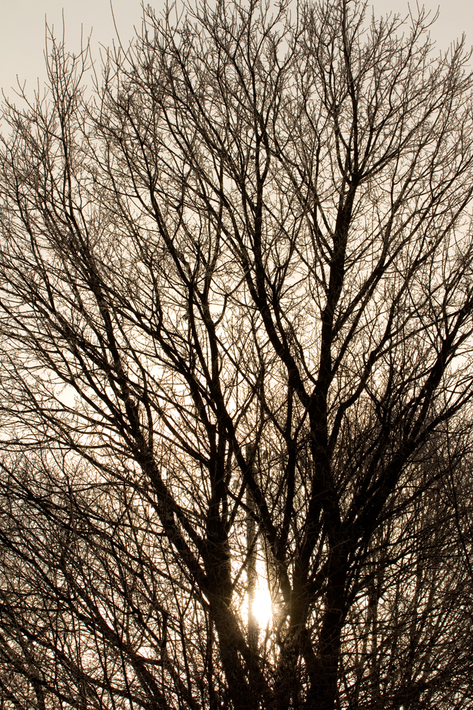 Siedlung Ried W2 Siedlung Ried W2 Foto-Dokumentation Niederwangen Bern Atelier 5